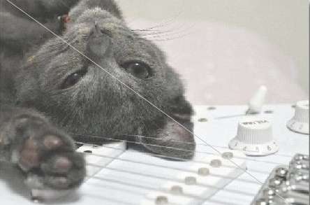 2016y06m14d_013859205